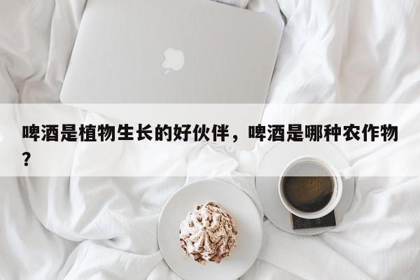 啤酒是植物生长的好伙伴，啤酒是哪种农作物？-第1张图片-我家生活百科