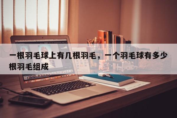 一根羽毛球上有几根羽毛，一个羽毛球有多少根羽毛组成-第1张图片-我家生活百科