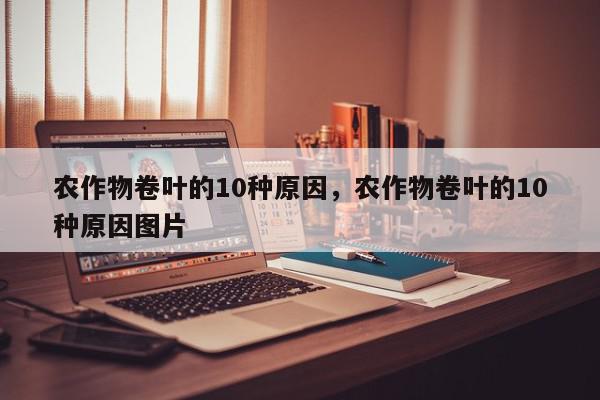 农作物卷叶的10种原因，农作物卷叶的10种原因图片-第1张图片-我家生活百科