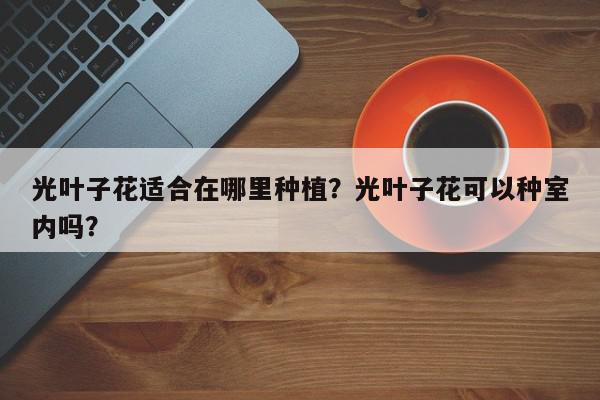 光叶子花适合在哪里种植？光叶子花可以种室内吗？-第1张图片-我家生活百科