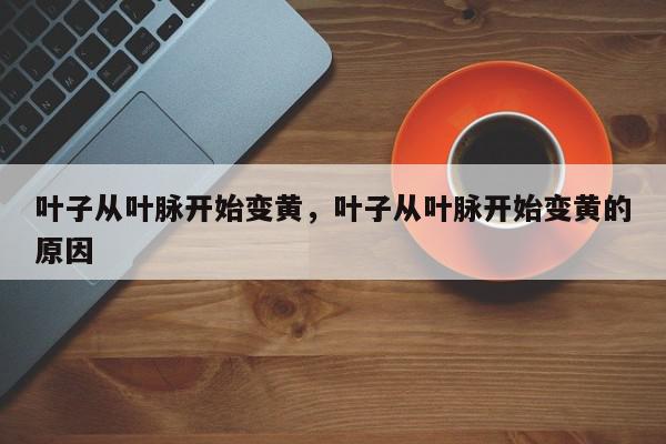 叶子从叶脉开始变黄，叶子从叶脉开始变黄的原因-第1张图片-我家生活百科