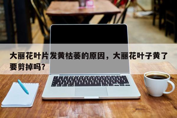 大丽花叶片发黄枯萎的原因，大丽花叶子黄了要剪掉吗？-第1张图片-我家生活百科