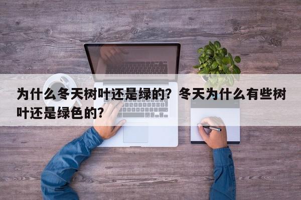 为什么冬天树叶还是绿的？冬天为什么有些树叶还是绿色的？-第1张图片-我家生活百科