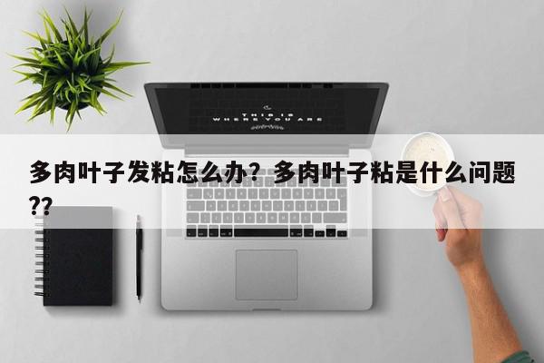 多肉叶子发粘怎么办？多肉叶子粘是什么问题?？-第1张图片-我家生活百科