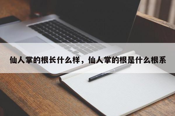 仙人掌的根长什么样，仙人掌的根是什么根系-第1张图片-我家生活百科