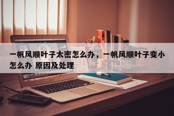 一帆风顺叶子太密怎么办，一帆风顺叶子变小怎么办 原因及处理-第1张图片-我家生活百科
