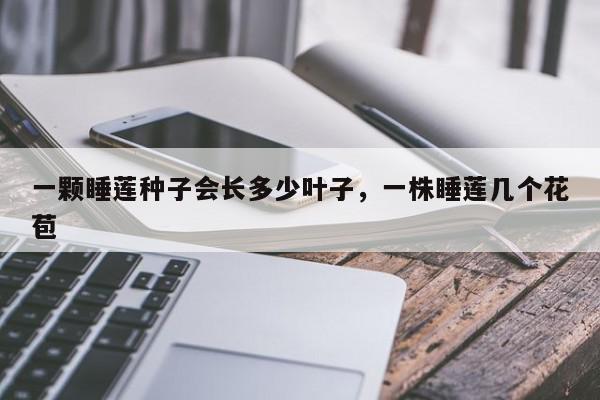 一颗睡莲种子会长多少叶子，一株睡莲几个花苞-第1张图片-我家生活百科