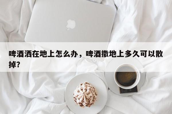 啤酒洒在地上怎么办，啤酒撒地上多久可以散掉？-第1张图片-我家生活百科