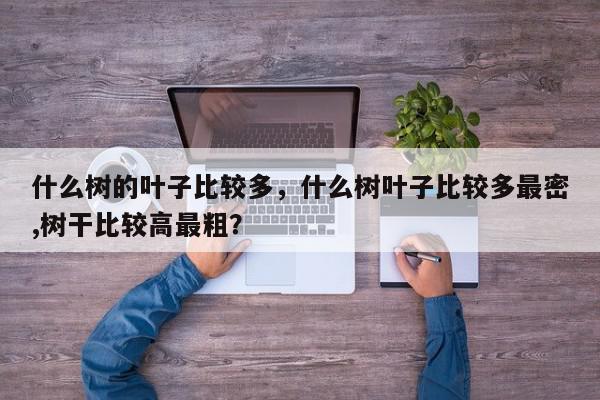 什么树的叶子比较多，什么树叶子比较多最密,树干比较高最粗？-第1张图片-我家生活百科