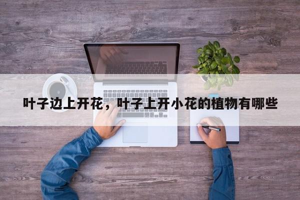 叶子边上开花，叶子上开小花的植物有哪些-第1张图片-我家生活百科