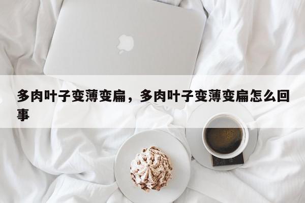 多肉叶子变薄变扁，多肉叶子变薄变扁怎么回事-第1张图片-我家生活百科