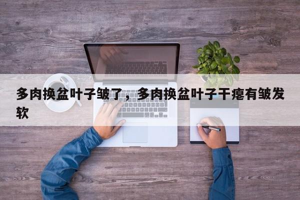 多肉换盆叶子皱了，多肉换盆叶子干瘪有皱发软-第1张图片-我家生活百科