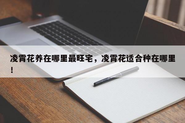 凌霄花养在哪里最旺宅，凌霄花适合种在哪里！-第1张图片-我家生活百科