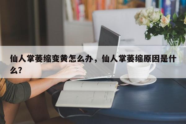 仙人掌萎缩变黄怎么办，仙人掌萎缩原因是什么？-第1张图片-我家生活百科