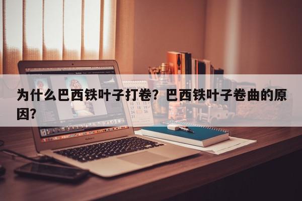 为什么巴西铁叶子打卷？巴西铁叶子卷曲的原因？-第1张图片-我家生活百科