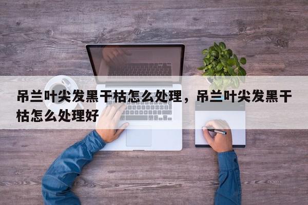 吊兰叶尖发黑干枯怎么处理，吊兰叶尖发黑干枯怎么处理好-第1张图片-我家生活百科