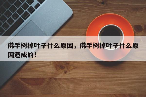佛手树掉叶子什么原因，佛手树掉叶子什么原因造成的！-第1张图片-我家生活百科