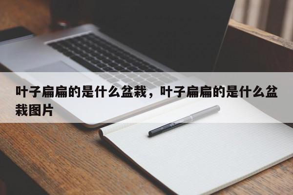 叶子扁扁的是什么盆栽，叶子扁扁的是什么盆栽图片-第1张图片-我家生活百科