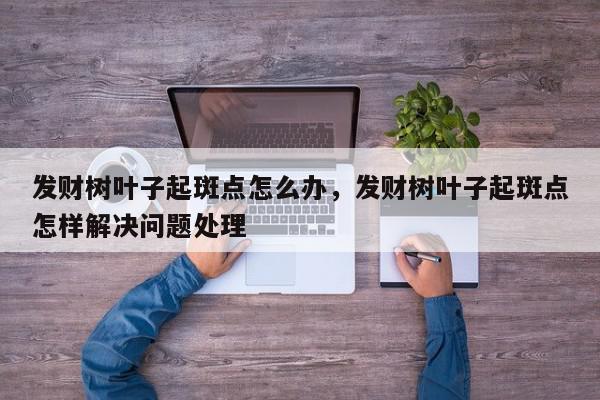 发财树叶子起斑点怎么办，发财树叶子起斑点怎样解决问题处理-第1张图片-我家生活百科