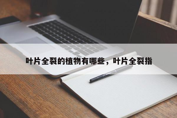 叶片全裂的植物有哪些，叶片全裂指-第1张图片-我家生活百科