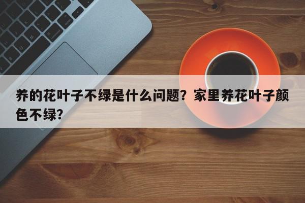 养的花叶子不绿是什么问题？家里养花叶子颜色不绿？-第1张图片-我家生活百科