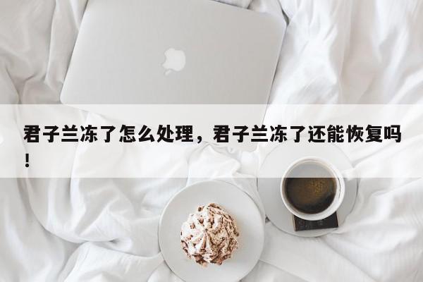 君子兰冻了怎么处理，君子兰冻了还能恢复吗！-第1张图片-我家生活百科