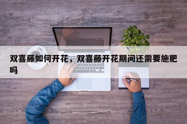 双喜藤如何开花，双喜藤开花期间还需要施肥吗-第1张图片-我家生活百科