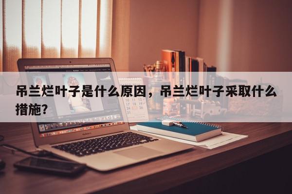 吊兰烂叶子是什么原因，吊兰烂叶子采取什么措施？-第1张图片-我家生活百科