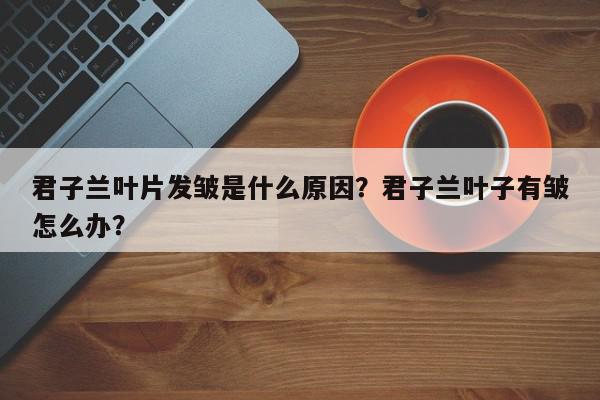 君子兰叶片发皱是什么原因？君子兰叶子有皱怎么办？-第1张图片-我家生活百科