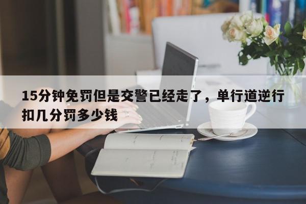 15分钟免罚但是交警已经走了，单行道逆行扣几分罚多少钱-第1张图片-我家生活百科