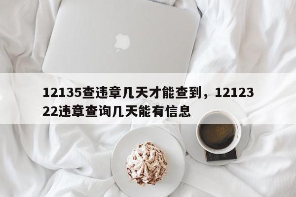 12135查违章几天才能查到，1212322违章查询几天能有信息-第1张图片-我家生活百科