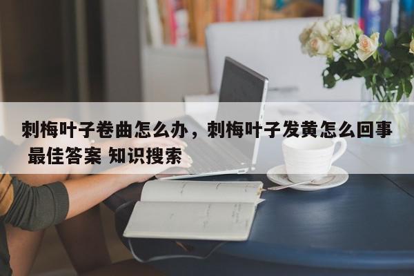 刺梅叶子卷曲怎么办，刺梅叶子发黄怎么回事 最佳答案 知识搜索-第1张图片-我家生活百科