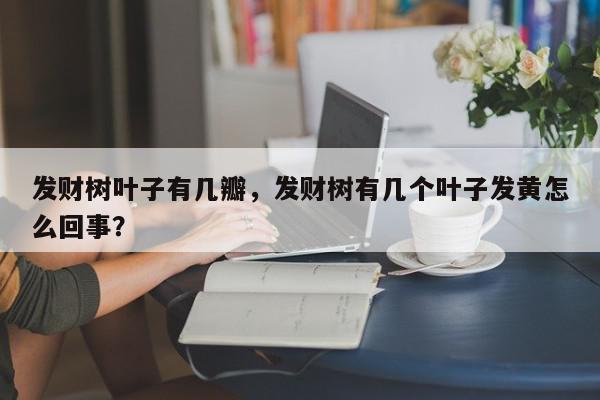 发财树叶子有几瓣，发财树有几个叶子发黄怎么回事？-第1张图片-我家生活百科