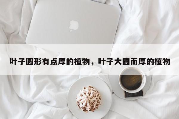 叶子圆形有点厚的植物，叶子大圆而厚的植物-第1张图片-我家生活百科
