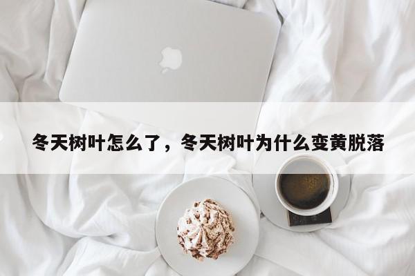 冬天树叶怎么了，冬天树叶为什么变黄脱落-第1张图片-我家生活百科