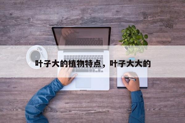 叶子大的植物特点，叶子大大的-第1张图片-我家生活百科