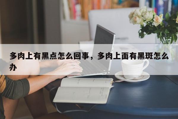 多肉上有黑点怎么回事，多肉上面有黑斑怎么办-第1张图片-我家生活百科