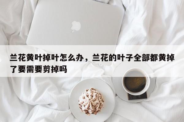 兰花黄叶掉叶怎么办，兰花的叶子全部都黄掉了要需要剪掉吗-第1张图片-我家生活百科