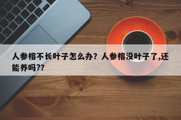 人参榕不长叶子怎么办？人参榕没叶子了,还能养吗?？-第1张图片-我家生活百科