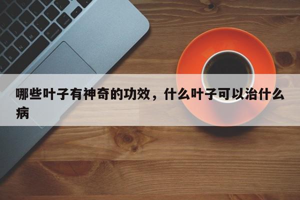 哪些叶子有神奇的功效，什么叶子可以治什么病-第1张图片-我家生活百科