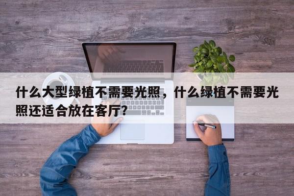 什么大型绿植不需要光照，什么绿植不需要光照还适合放在客厅？-第1张图片-我家生活百科