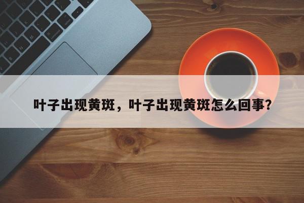 叶子出现黄斑，叶子出现黄斑怎么回事？-第1张图片-我家生活百科
