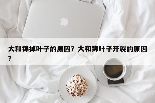 大和锦掉叶子的原因？大和锦叶子开裂的原因？-第1张图片-我家生活百科