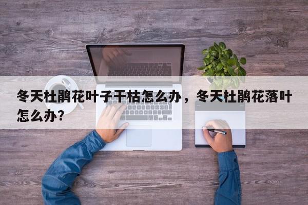 冬天杜鹃花叶子干枯怎么办，冬天杜鹃花落叶怎么办？-第1张图片-我家生活百科
