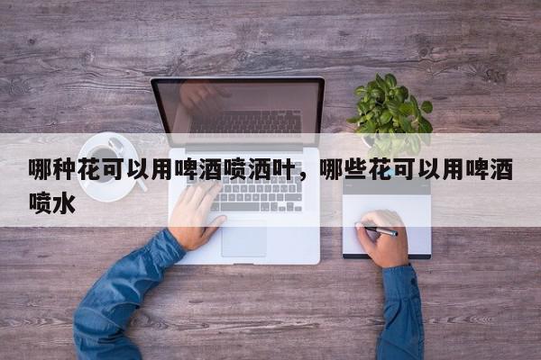 哪种花可以用啤酒喷洒叶，哪些花可以用啤酒喷水-第1张图片-我家生活百科