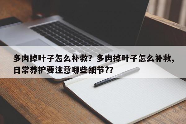 多肉掉叶子怎么补救？多肉掉叶子怎么补救,日常养护要注意哪些细节?？-第1张图片-我家生活百科