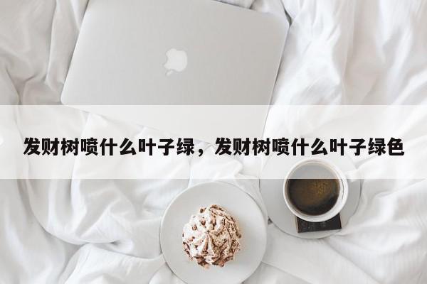 发财树喷什么叶子绿，发财树喷什么叶子绿色-第1张图片-我家生活百科