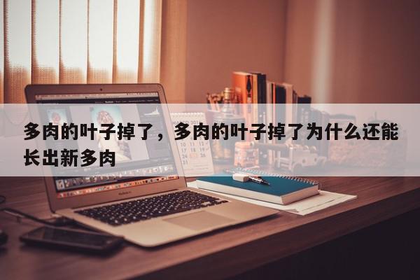 多肉的叶子掉了，多肉的叶子掉了为什么还能长出新多肉-第1张图片-我家生活百科