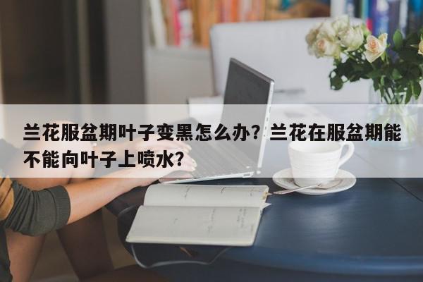 兰花服盆期叶子变黑怎么办？兰花在服盆期能不能向叶子上喷水？-第1张图片-我家生活百科