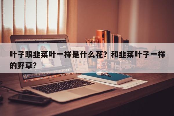 叶子跟韭菜叶一样是什么花？和韭菜叶子一样的野草？-第1张图片-我家生活百科